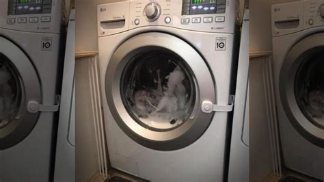 pornhub laundry|Laundry Machine Porn Videos .